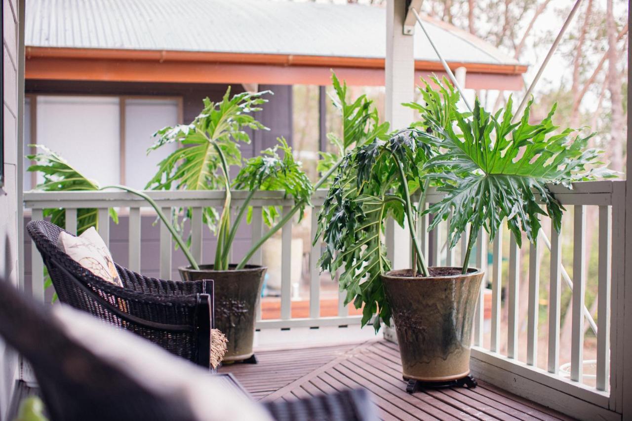 مبيت وإفطار Hazelbrook Snooty Fox Bed &Breakfast المظهر الخارجي الصورة